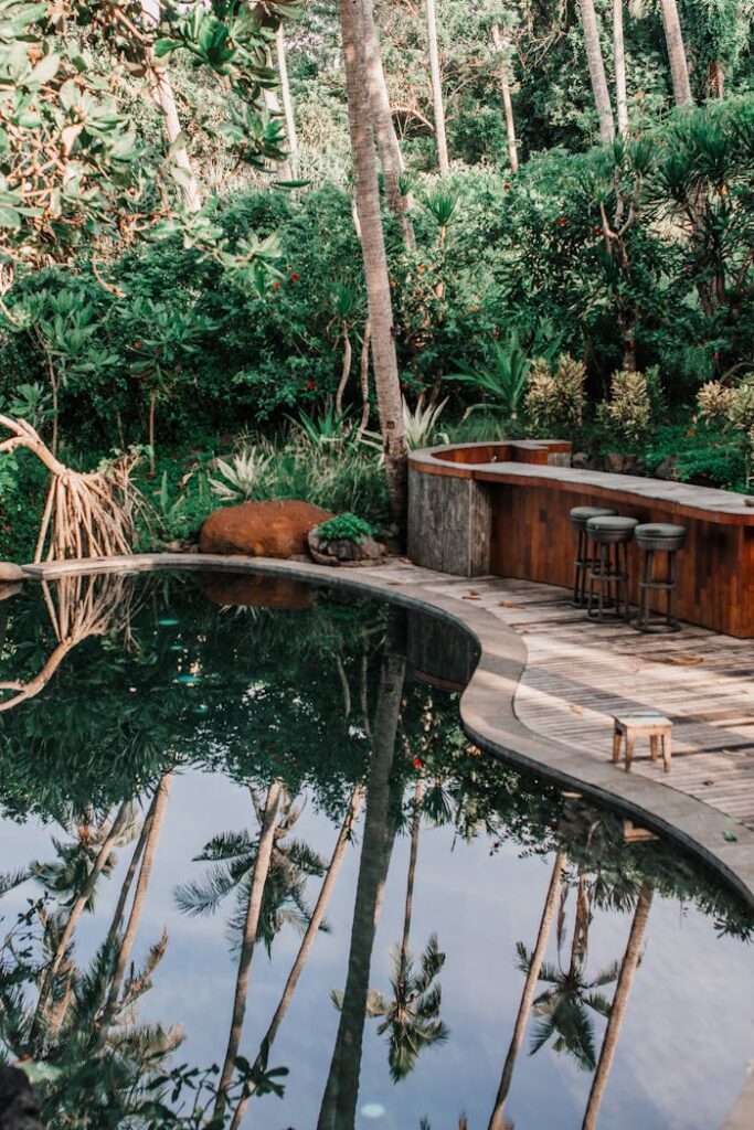 Trees and Swimming Pool